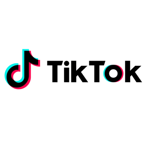 TikTok Logo